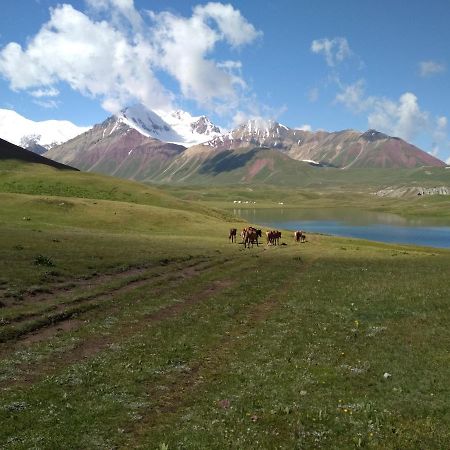Pamir Nomad Yurt Camp 호텔 Kara-Kavak 외부 사진