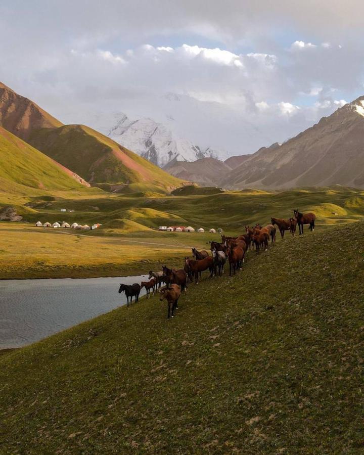 Pamir Nomad Yurt Camp 호텔 Kara-Kavak 외부 사진