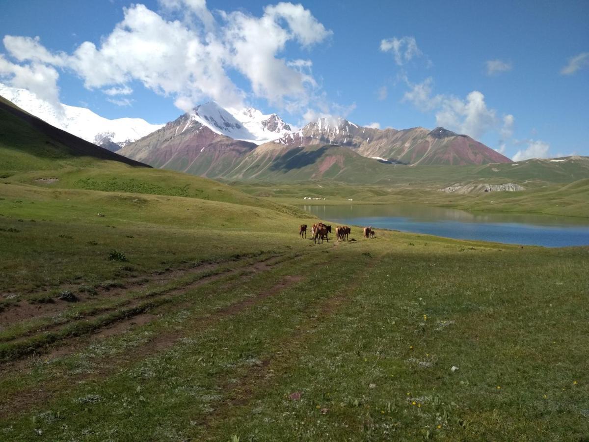 Pamir Nomad Yurt Camp 호텔 Kara-Kavak 외부 사진