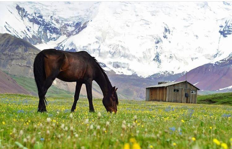 Pamir Nomad Yurt Camp 호텔 Kara-Kavak 외부 사진